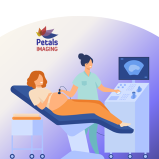 Book your Pregnancy Scans at Petals Imgaing Fetal Medicine