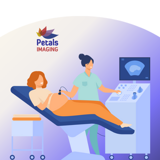 Book your Pregnancy Scans at Petals Imaging - Fetal Medicine unit